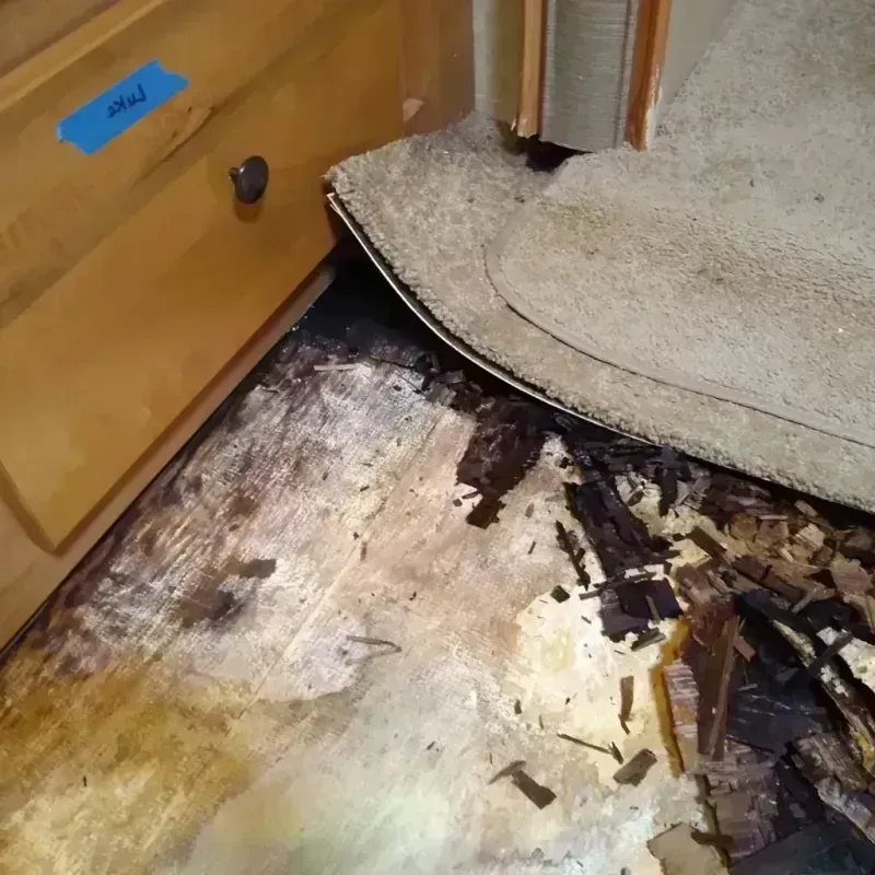 Wood Floor Water Damage in Satsuma, AL